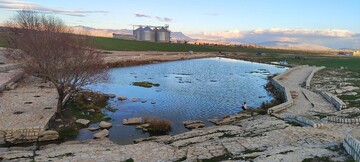 سراب ملی قره دانه تفرجگاهی خاص برای مردم کرمانشاه 