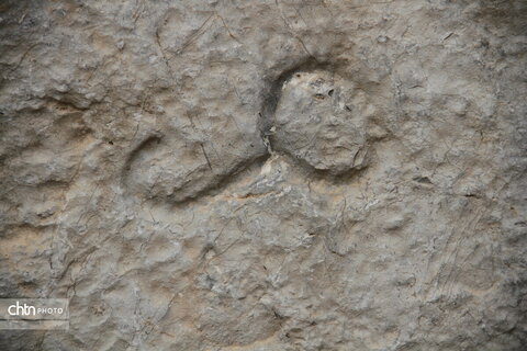 امضاءهایی با بیش از 1400 سال قدمت دردیار بیستون