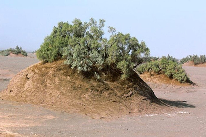 نبکاهای آب شیرین کاشان به ثبت ملی رسید