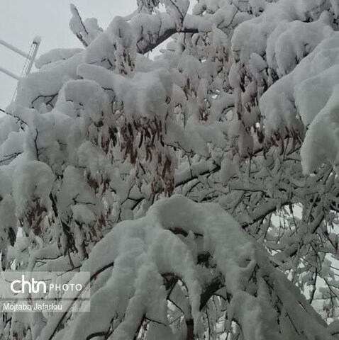 رخ زمستان در استان زنجان