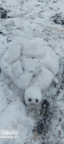 رخ برفیروستای حاج سیران دهستان قره پشتلوی پایین شهرستان زنجان