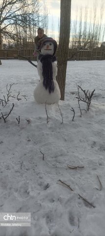 رخ برفیروستای حاج سیران دهستان قره پشتلوی پایین شهرستان زنجان