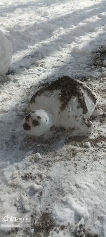 رخ برفیروستای حاج سیران دهستان قره پشتلوی پایین شهرستان زنجان
