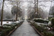 بارش برف زمستانی در ساری
