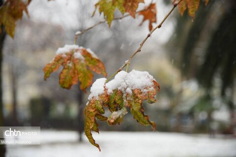 بارش برف زمستانی در ساری