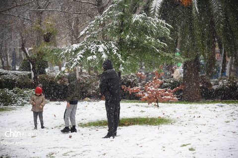 بارش برف زمستانی در ساری