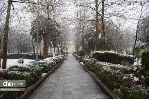 بارش برف زمستانی در ساری