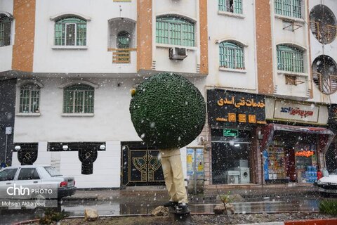 بارش برف زمستانی در ساری