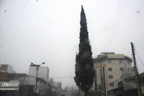 بارش برف زمستانی در ساری