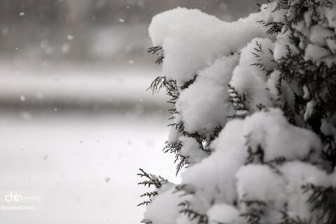 بارش برف سنگین در اردبیل