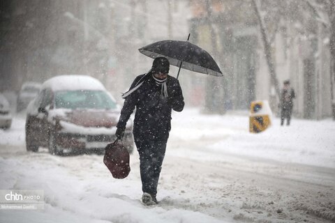 بارش برف سنگین در اردبیل