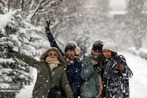 بارش برف سنگین در اردبیل