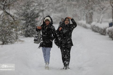 بارش برف سنگین در اردبیل