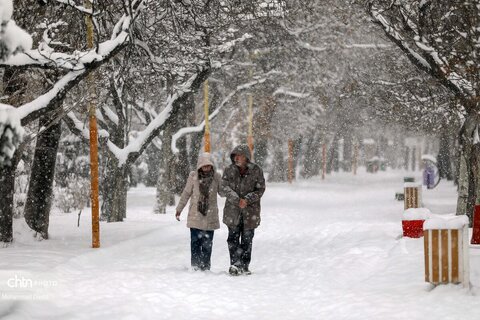 بارش برف سنگین در اردبیل