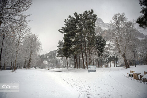 تاقبستان برفی