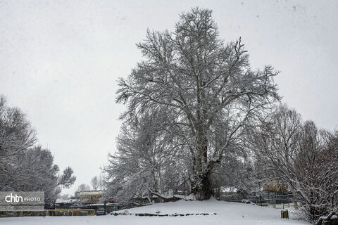 تاقبستان برفی