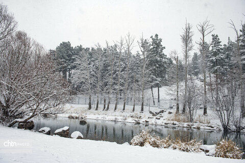 تاقبستان برفی