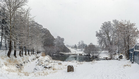 تاقبستان برفی