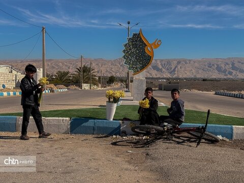 نرگس زارهای نوآباد