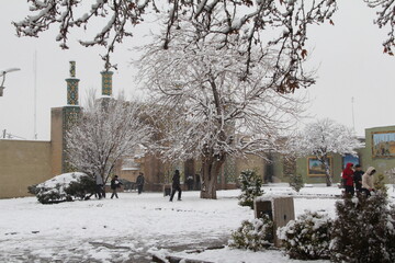 بناهای تاریخی قزوین پوشیده از برف