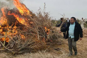 برگزاری آیین سنتی سده در شهرستان خوروبیابانک