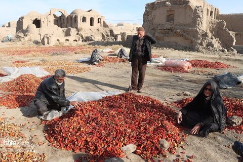 روستای کاهک در 85کیلومتری شهر سبزوار  ورودی استان خراسان رضوی وزادگاه دکتر علی شریعتی می باشد