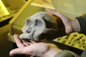 موزه دیرینه شناسی وعلوم توس (پارک علوم زیما)