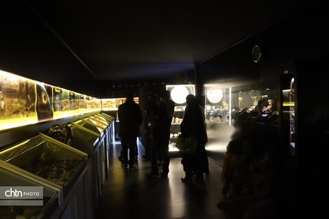 موزه دیرینه شناسی وعلوم توس (پارک علوم زیما)