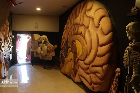 موزه دیرینه شناسی وعلوم توس (پارک علوم زیما)