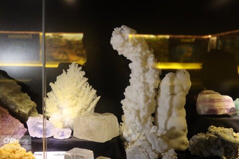 موزه دیرینه شناسی وعلوم توس (پارک علوم زیما)