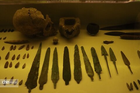 موزه دیرینه شناسی وعلوم توس (پارک علوم زیما)