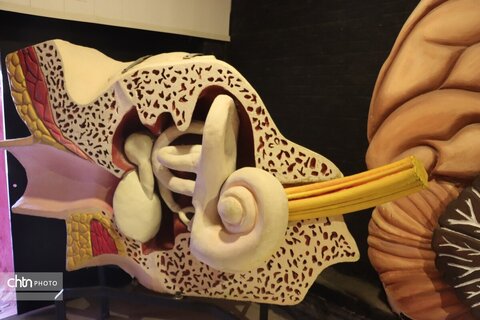 موزه دیرینه شناسی وعلوم توس (پارک علوم زیما)