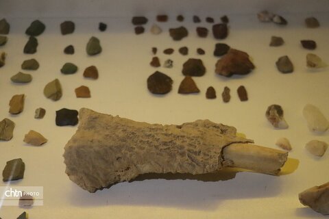 موزه دیرینه شناسی وعلوم توس (پارک علوم زیما)