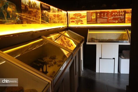 موزه دیرینه شناسی وعلوم توس (پارک علوم زیما)