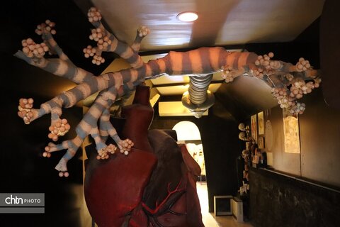 موزه دیرینه شناسی وعلوم توس (پارک علوم زیما)