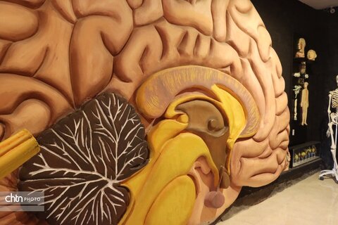 موزه دیرینه شناسی وعلوم توس (پارک علوم زیما)