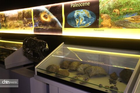 موزه دیرینه شناسی وعلوم توس (پارک علوم زیما)