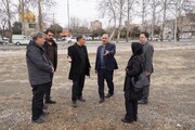 بازدید مدیرکل میراث‌فرهنگی همدان از شهرستان اسدآباد