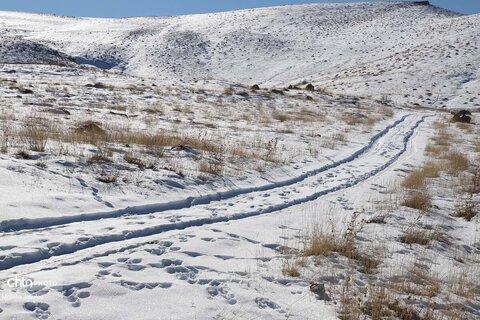 معبد داش کسن برفی