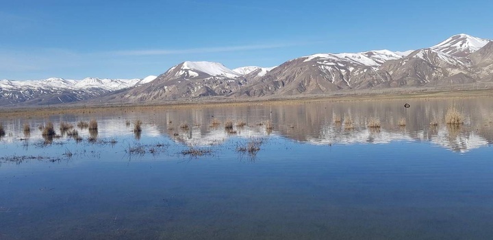 افزایش ۶۰ درصدی حجم آب تالاب‌های چالدران در پی بارش‌های زمستانه