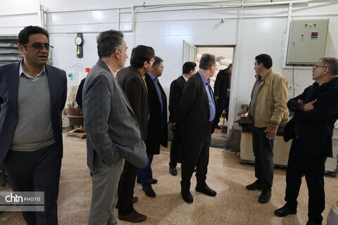 بازدید آقای ندایی از کارگاه‌های گز بلداجی چهارمحال و بختیاری