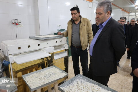 بازدید آقای ندایی از کارگاه‌های گز بلداجی چهارمحال و بختیاری