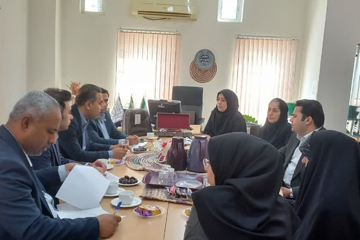 بررسی مشکلات پرداخت تسهیلات تبصره ۱۵ هرمزگان/ تمرکز بر رفع موانع در پرداخت تسهیلات