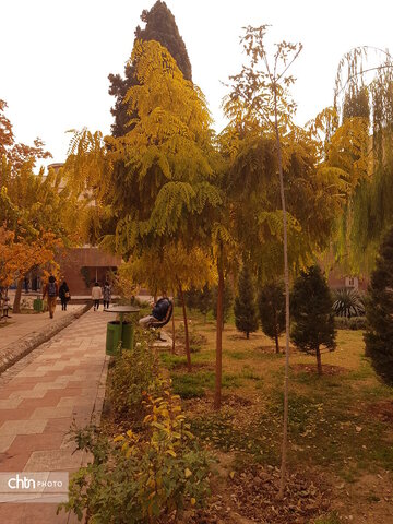 بوستان ورشو یکی از پارک های دنج تهران