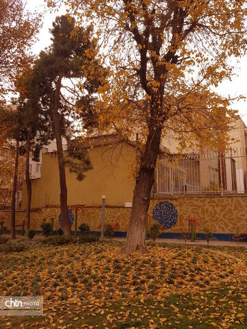 بوستان ورشو یکی از پارک های دنج تهران