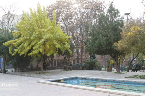 بوستان ورشو یکی از پارک های دنج تهران