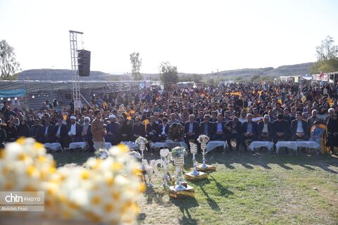 هشتمین جشنواره گل نرگس کازرون