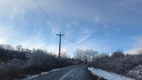 عبور خودروها از ناهارخورانِ برفی؛ زمستان در دل جنگل