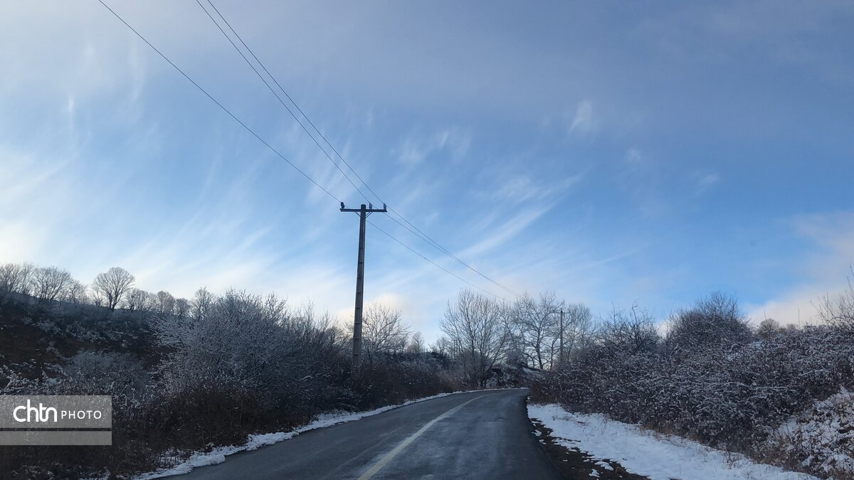 عبور خودروها از ناهارخورانِ برفی؛ زمستان در دل جنگل