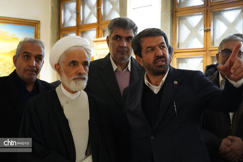 ادای احترام معاون حقوقی رئیس جمهوری به مقام ابوعلی سینا